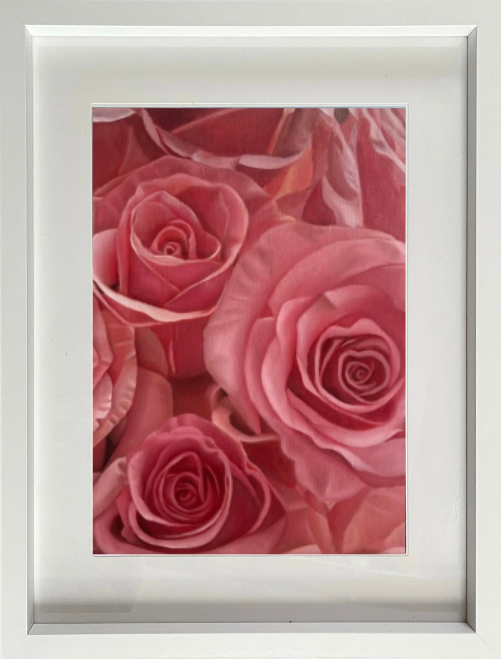 Pink or red – hypnotic rose