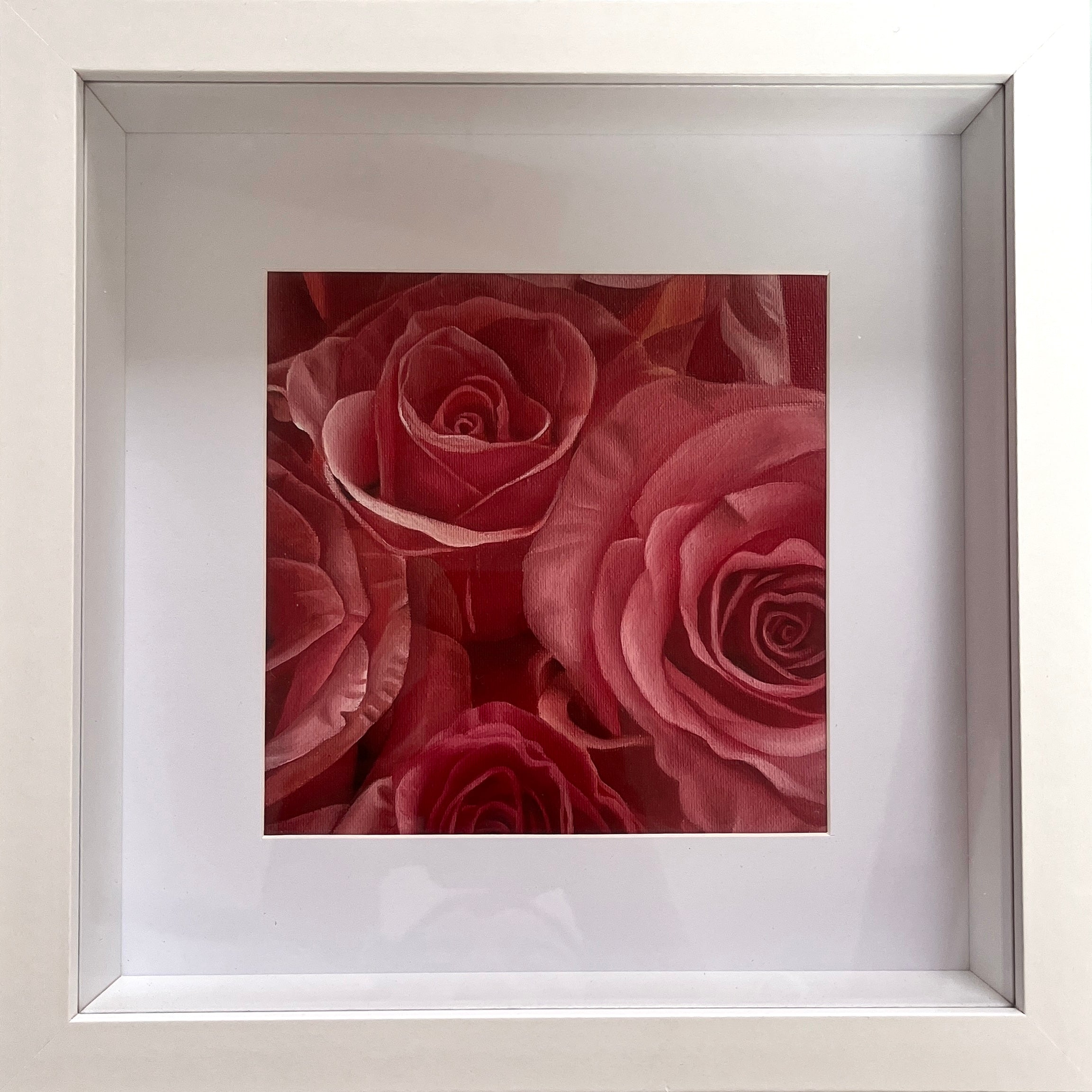 Pink or red – hypnotic rose