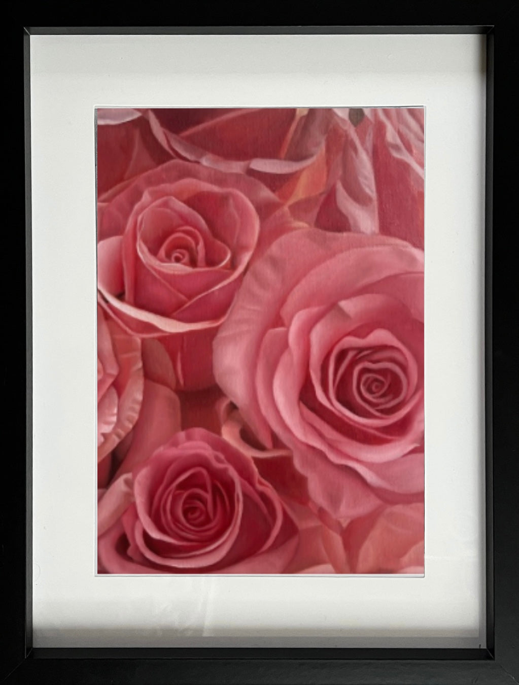 Pink or red – hypnotic rose