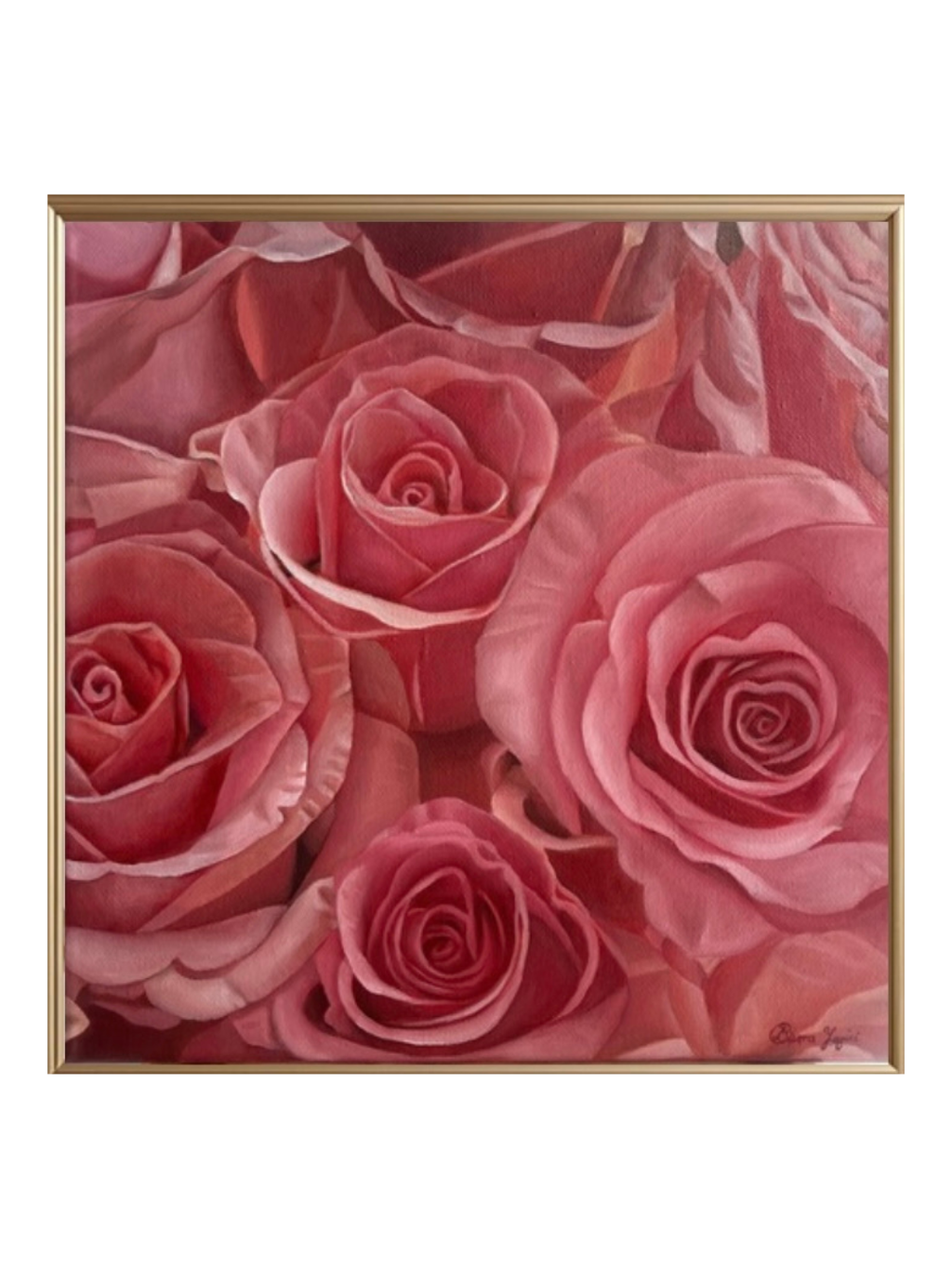 Pink or red Hypnotic Rose