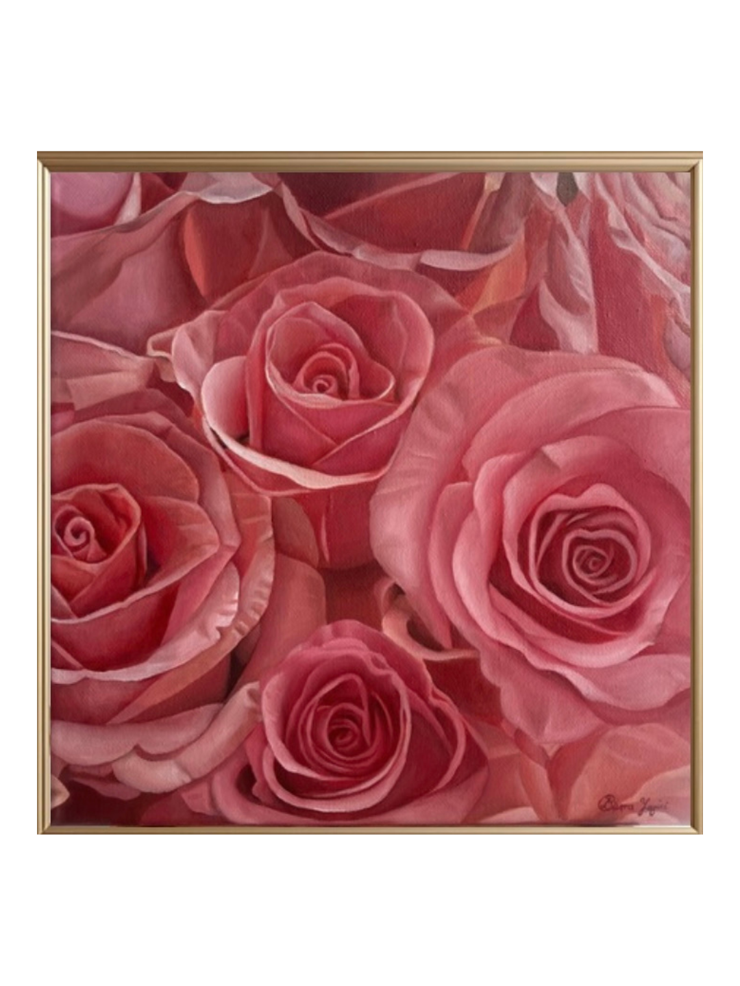 Pink or red Hypnotic Rose